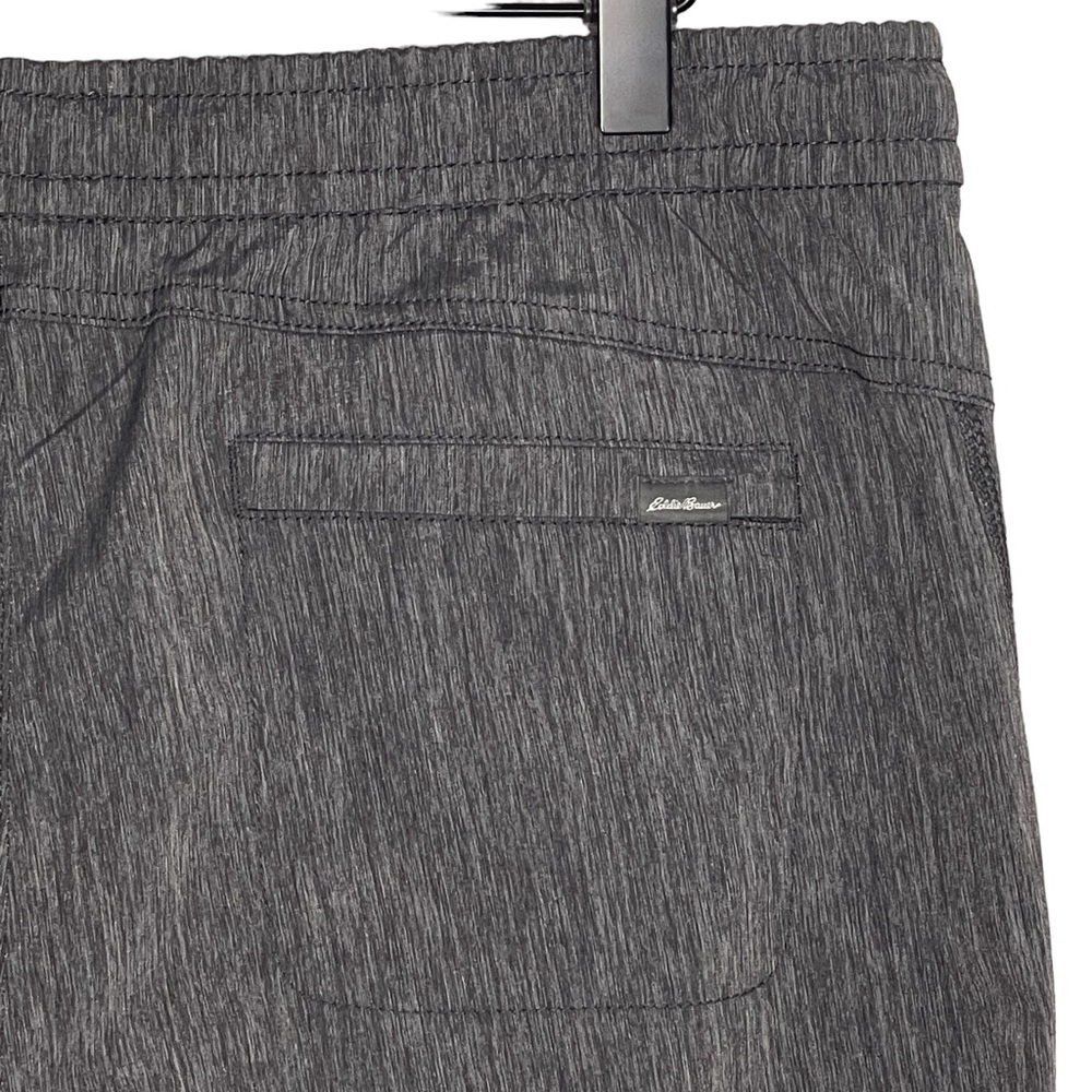 Eddie Bauer Travex Pant 10 Horizon Straight Leg Nylon Jogger Gray Hiking Outdoor - Picture 7 of 10